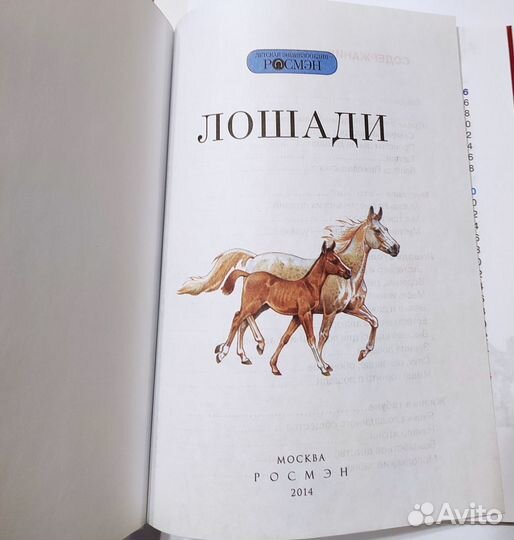 Энциклопедия 