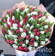 Тюльпаны к 8 марта оптом