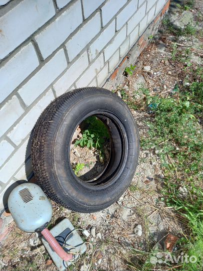 Dynamo Snow-H MWH01 65/13.5 R13 38B