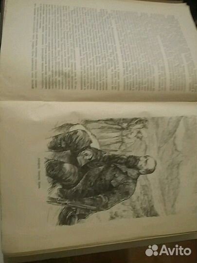 Книга жизнь животных