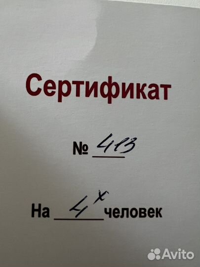 Полет на воздушном шаре