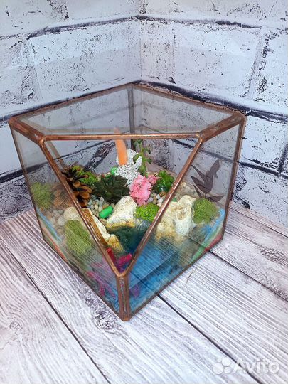 Флорариум, подарок, цветы