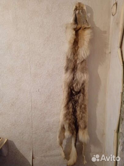 Шкура волка