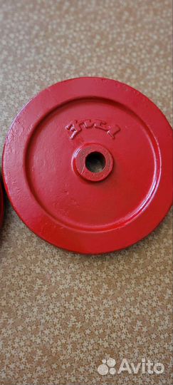 Чугунные блины для штанги 10 кг