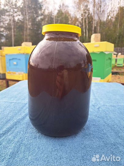 Мед гречишный, Иван чай 2023