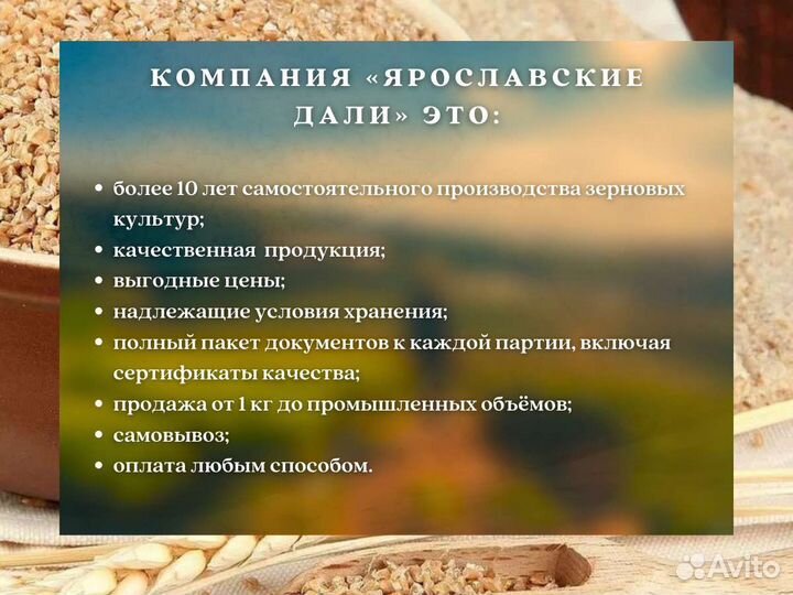 Цельнозерновая мука (кг)