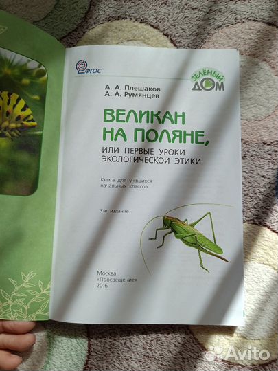 Великан на поляне. Плешаков