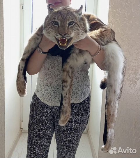 Шкура рыси (имитация)