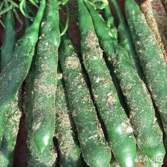 Магические свечи