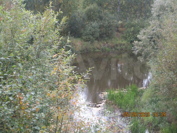 Участок 55 га (СНТ, ДНП)