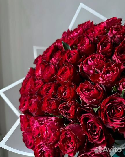 51 красная роза