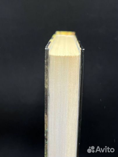 Летний Рыцарь