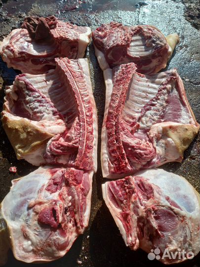 Мясо свинина домашняя