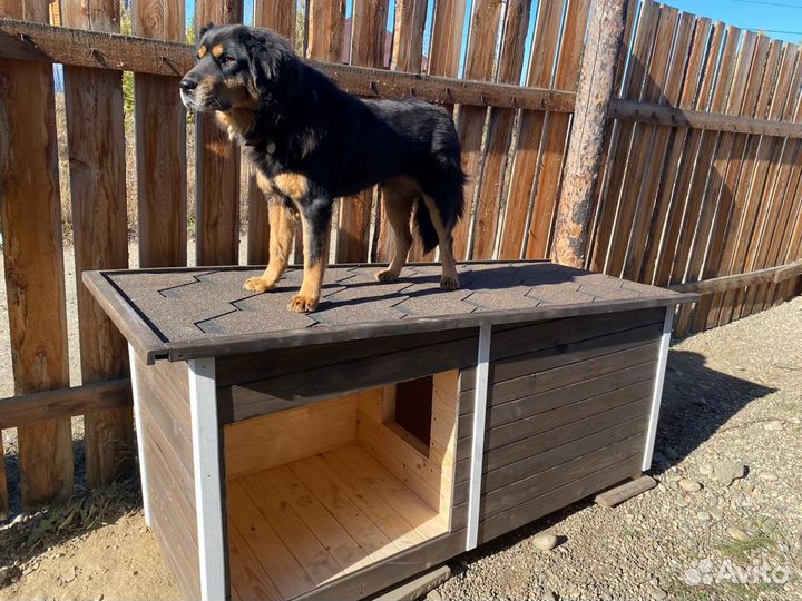 Будка для собаки