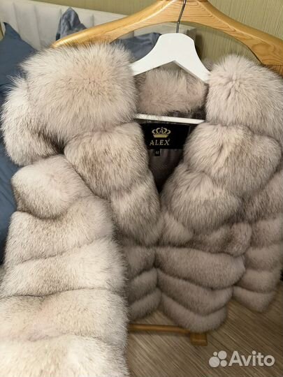 Финский аукционный песец