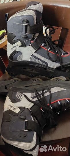 Мужские ролики 43