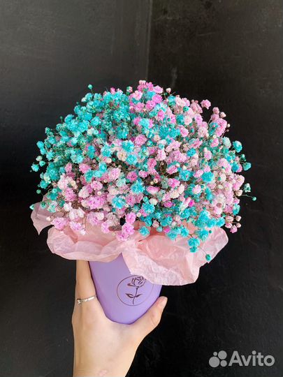 Гипсофила в стаканчике