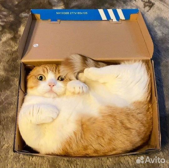 Подработка.Питание, проезд.Без опыта.Комплектовщик