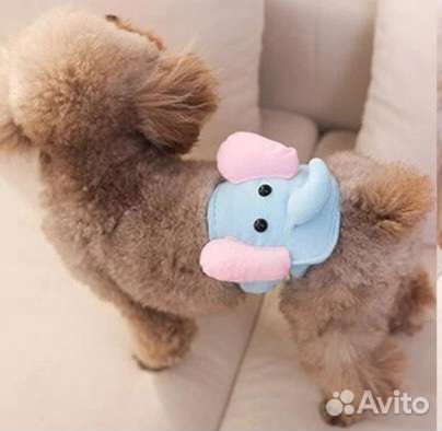 Пояс для собак