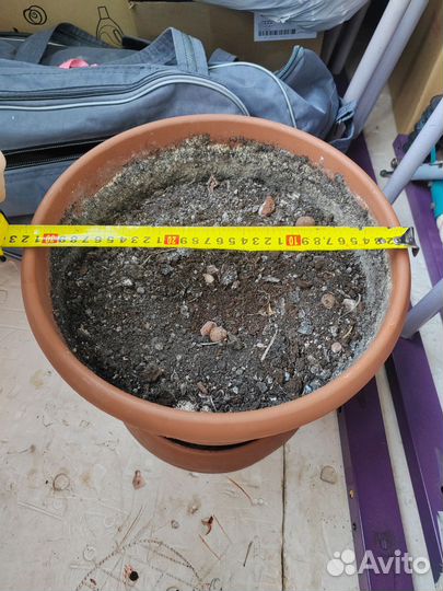 Большой цветочный горшок