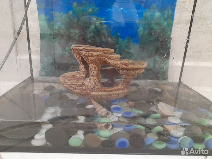 Аквариум 25л