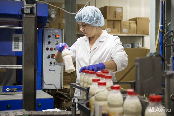 Упаковщик молочной продукции, питание, развозка