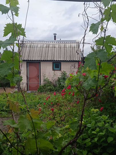 Дом 35 м² на участке 5,5 сот.