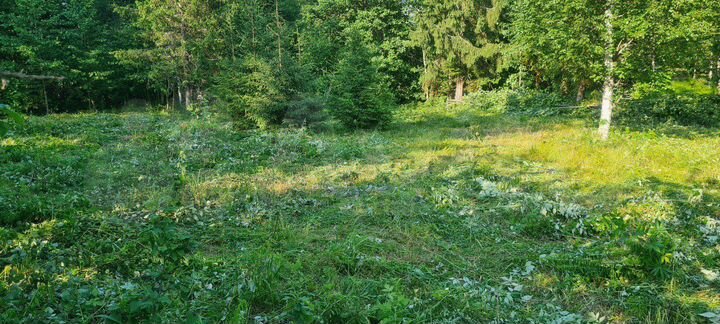 Участок 6 сот. (СНТ, ДНП)