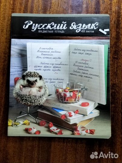 Тетрадь по русскому языку 48 листов