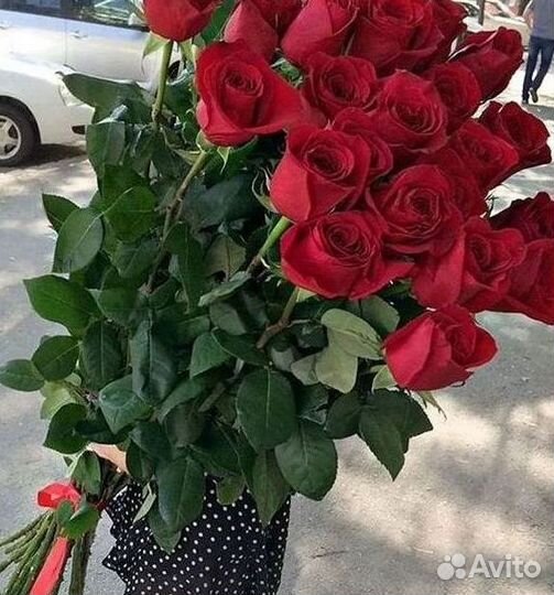 Высокие розы Гигантские розы Доставка цветов