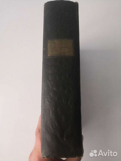 Книга сорта плодовых и ягодных культур