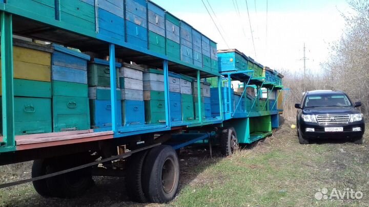 Платформа для пчел