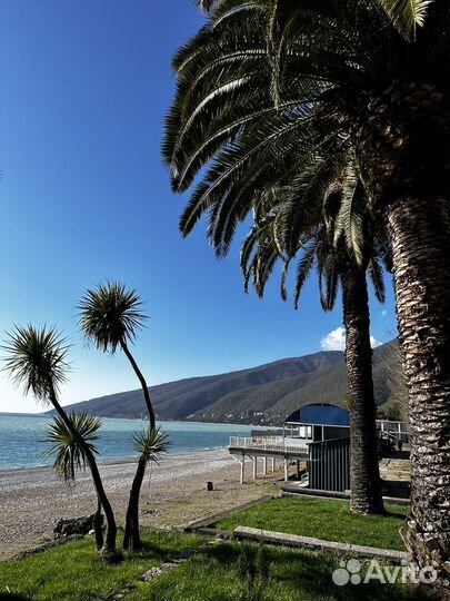 Индивидуальная экскурсия в Абхазию