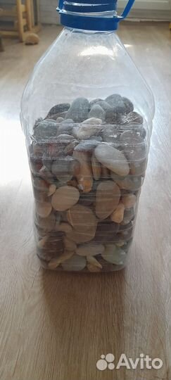 Галька и ракушки