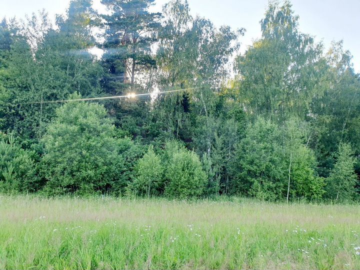 Участок 6 сот. (ИЖС)