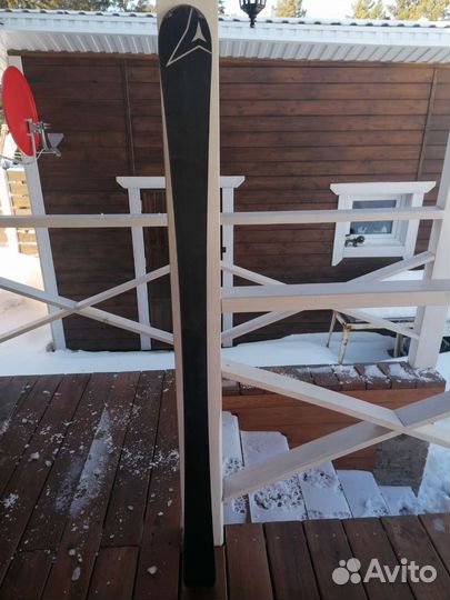 Горнолыжные лыжи