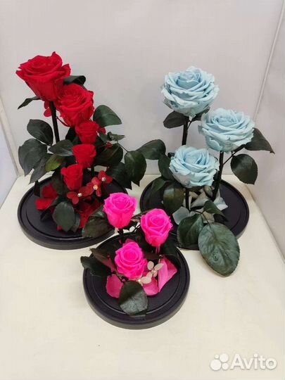 Подарок на новый год / Цветы