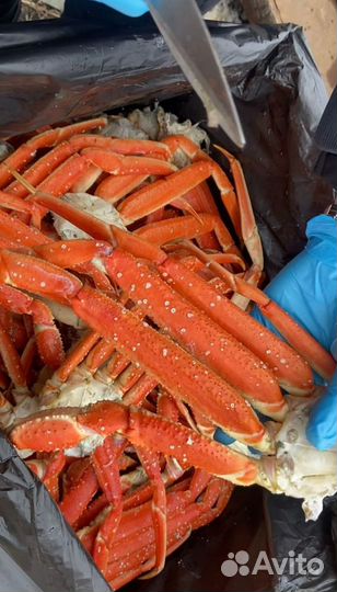 Краб стригун