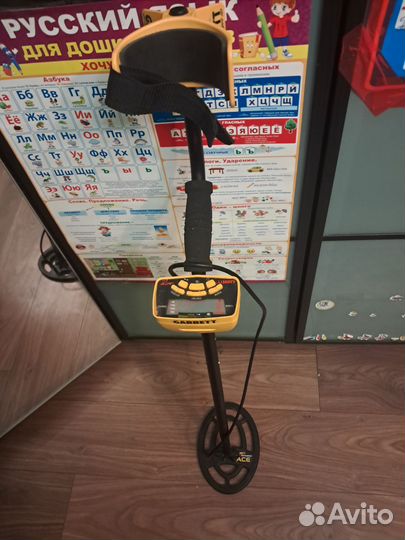 Металлоискатель garrett ace 250