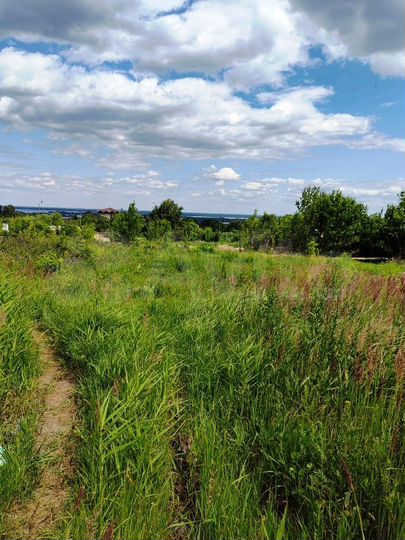 Участок 24 сот. (СНТ, ДНП)