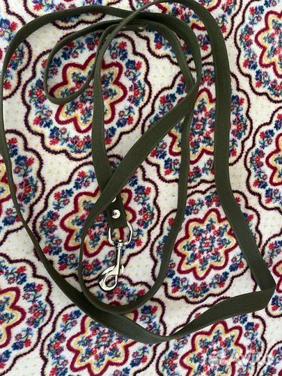 Поводок для большой собаки