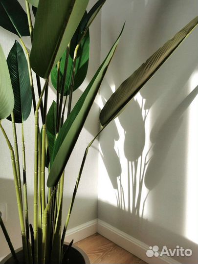 Искусственное дерево банановая пальма (стрелиция)