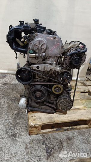 Двигатель Nissan Primera P12 QR20DE