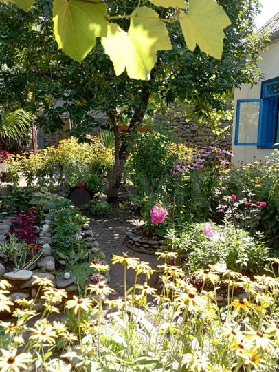 Комната 10 м², 1/2 эт.