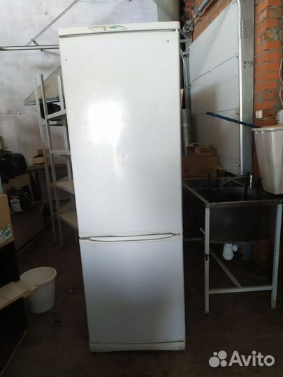 Холодильник stinol