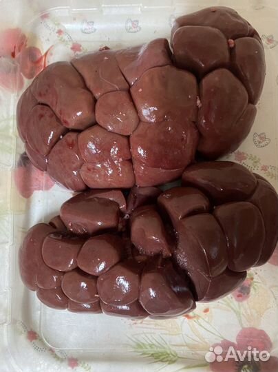 Почки говяжьи