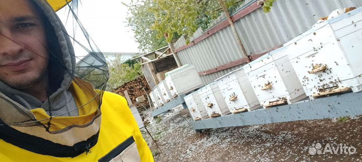 Курсы пчеловодства на пасеке