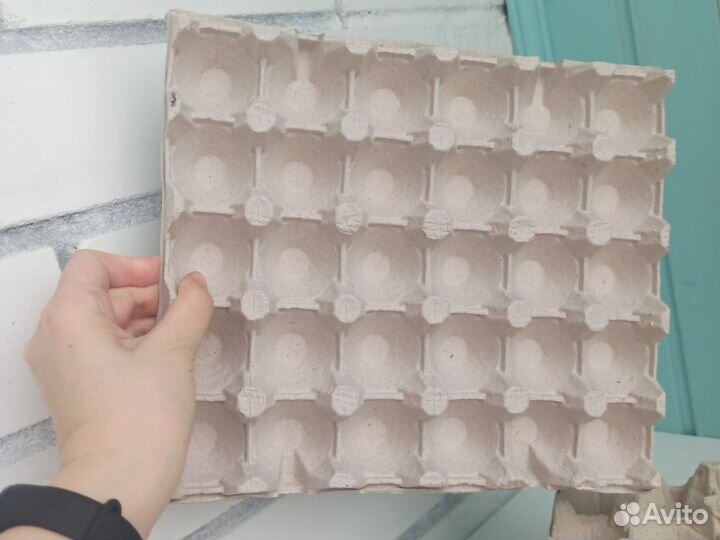 Лотки для яиц