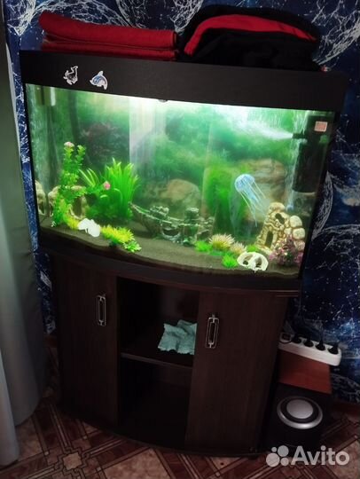 Аквариум