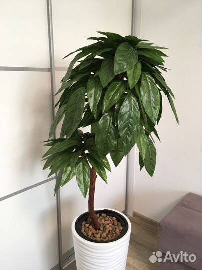 Искусственные растения манго папоротник фикус